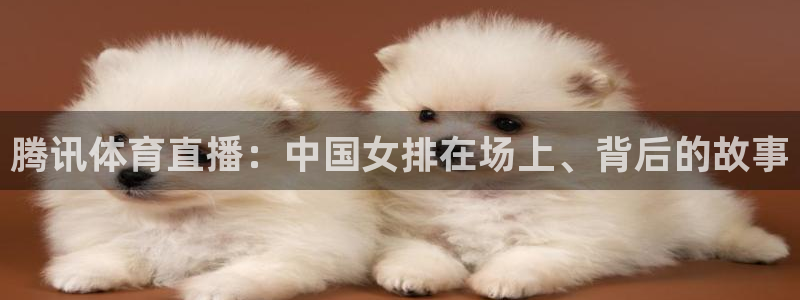 腾讯体育直播：中国女排在场上、背后的故事