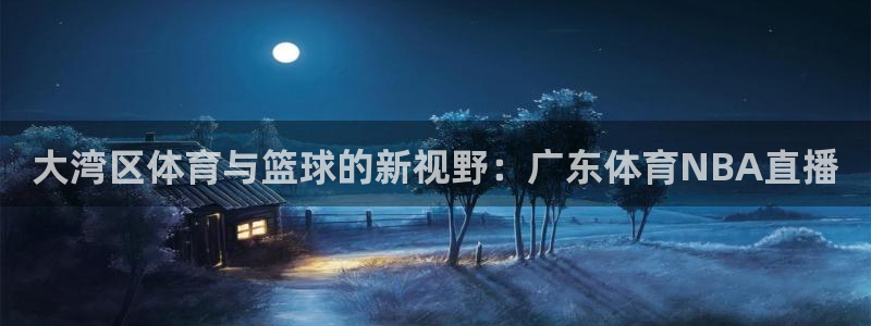 大湾区体育与篮球的新视野：广东体育NBA直播