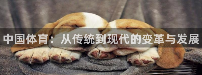 中国体育：从传统到现代的变革与发展