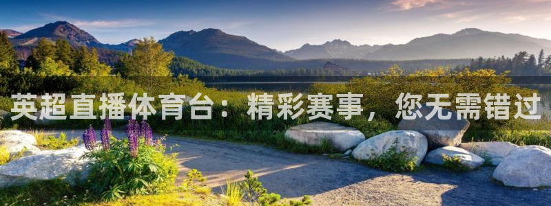 英超直播体育台：精彩赛事，您无需错过
