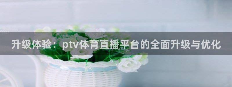升级体验：ptv体育直播平台的全面升级与优化