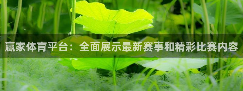 赢家体育平台：全面展示最新赛事和精彩比赛内容